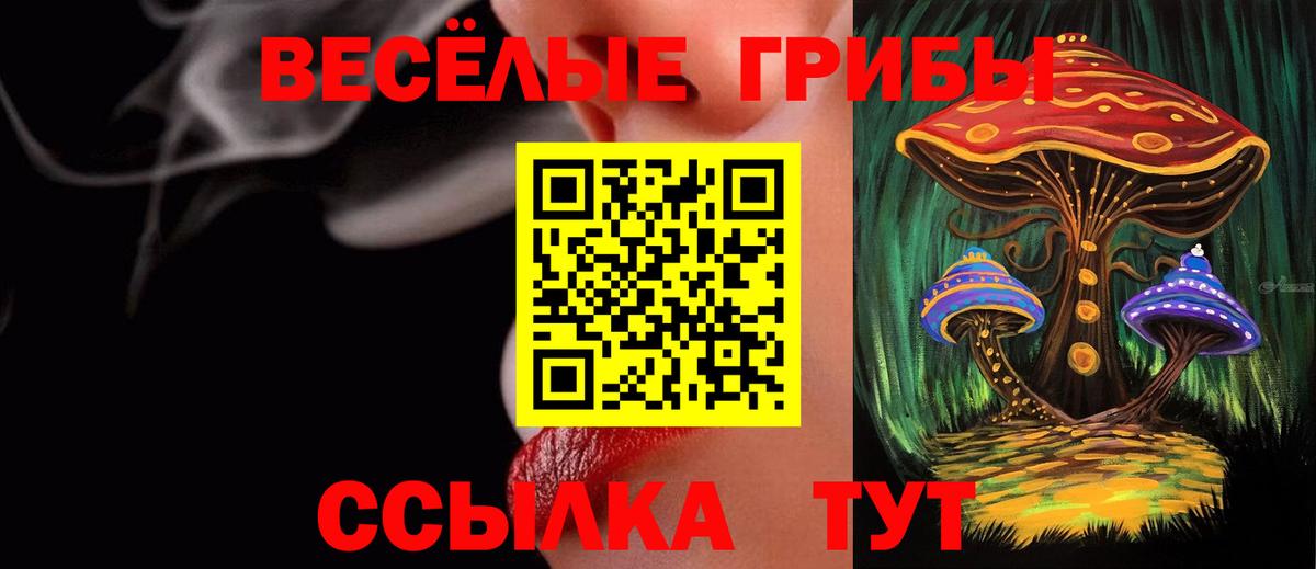 Псилоцибиновые грибы Cubensis Добрянка