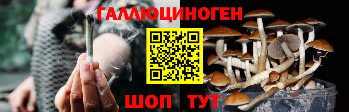 Добрянка  что такое   Вход с VPN  Псилоцибиновые грибы мицелий 